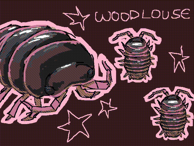 Bugtober woodlouse