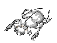 Lazy bugtober scarab beetle