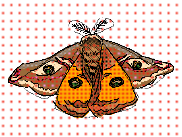 Bugtober small emperor moth