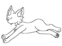 Koşan köpek / kedi