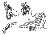 Monster design