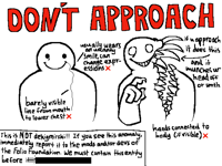 KNOW YOUR DEKIGMIRSKI
