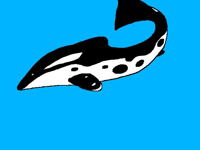 Water animal