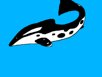 Water animal