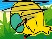 Bird Break