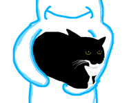 I got a new cat (irl)