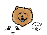 Chowchow