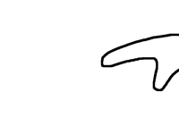 Microscopic