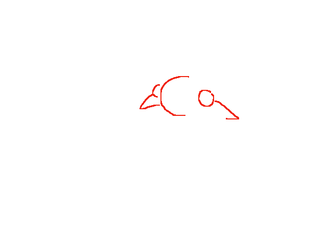Animation test