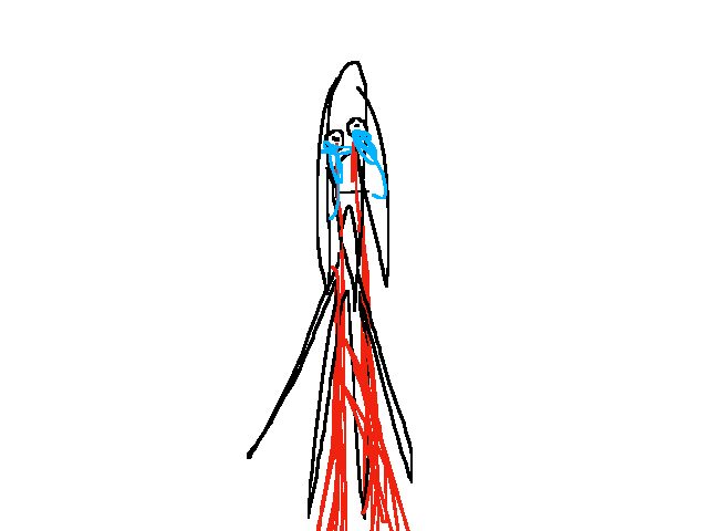 guys I had a nosebleed at 3am and didn’t sleep