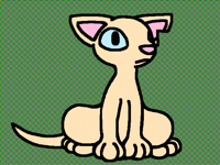 Cat being cat