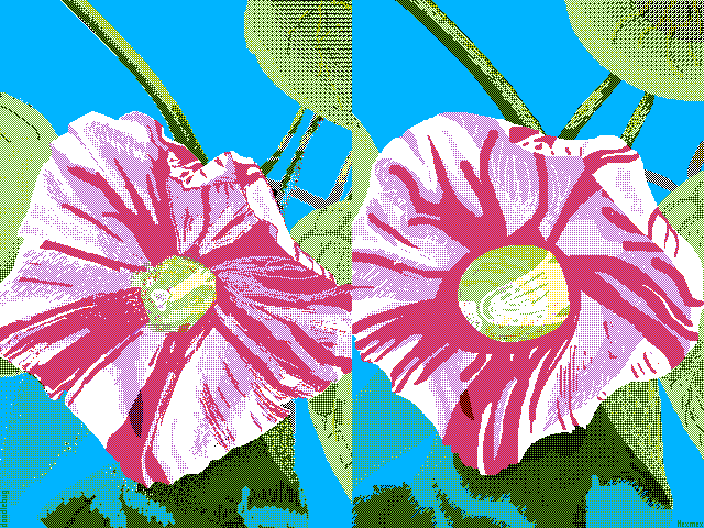 ipomoea     in your style