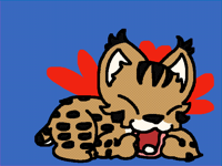 Nom