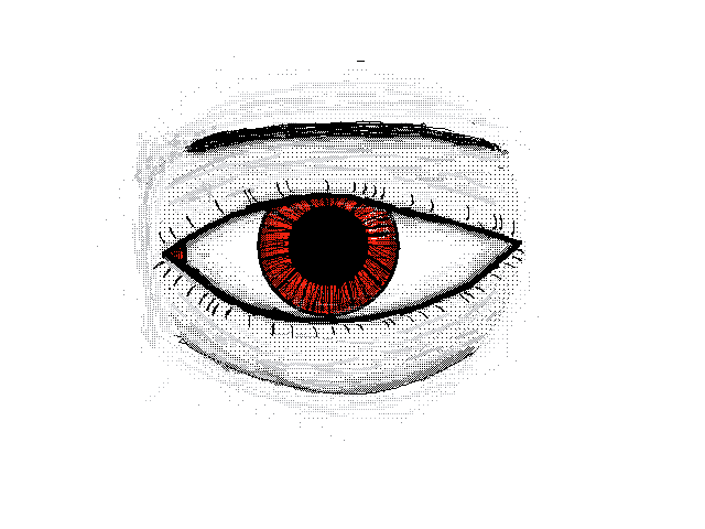 Eye