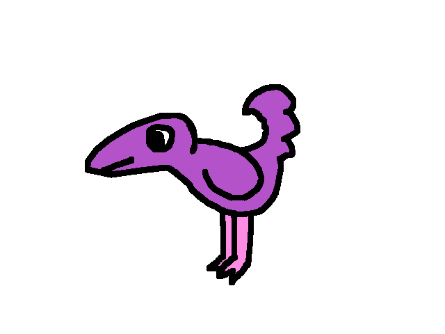 Bird