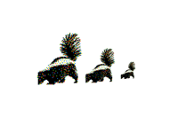 Realistic pixel skunk