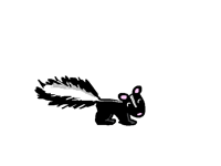 Skunk