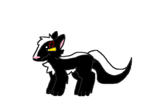 Grumpy skunk