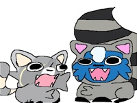 Raccoon collab