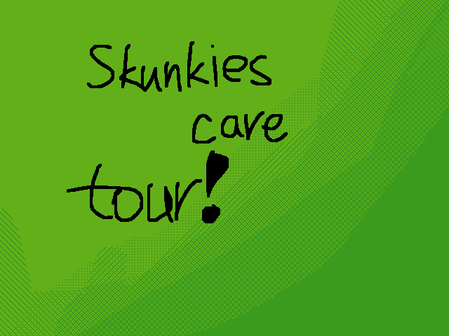 Skunkies cave tour! (So smol lol)