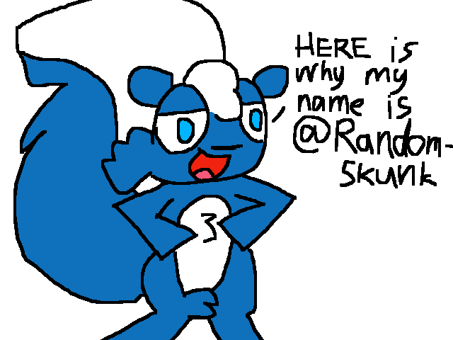 Why my name is randomskunk
