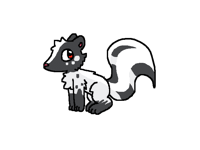 Half albino skunk