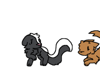 Skunk and a dog