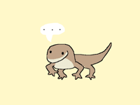 Gecko chat