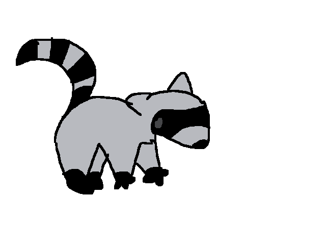 Raccoon dance
