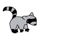 Raccoon dance