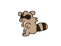 Raccoon