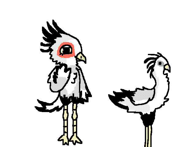 Secretary bird