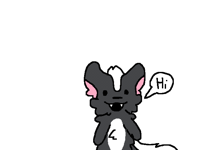 Skunk say hi!
