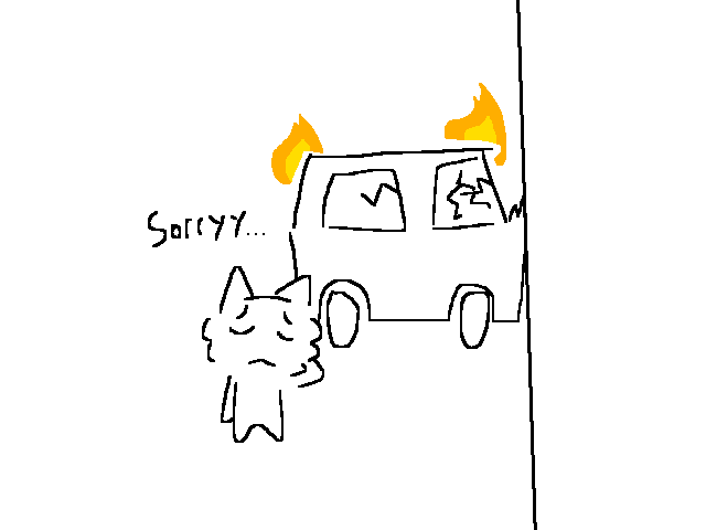 WHO LET KTTY DRIVE 😢😢