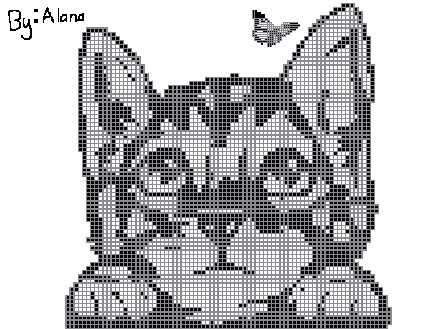 kitten