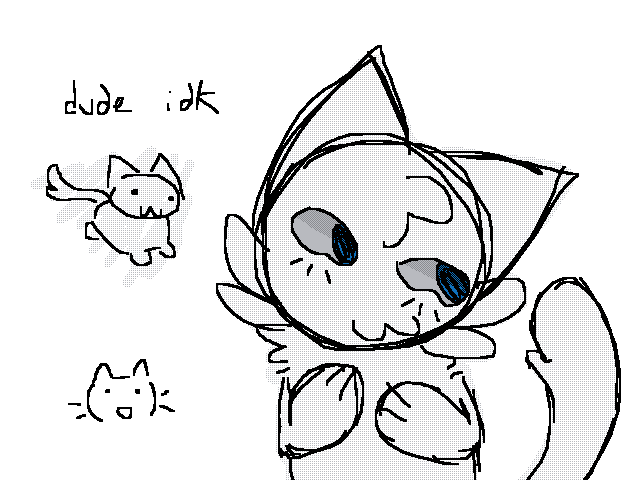 cars go mewo meow meow