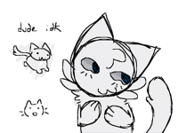 cars go mewo meow meow