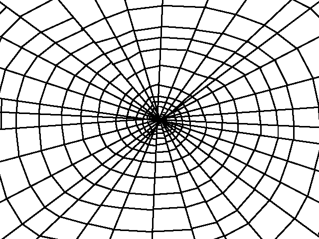 Spiderweb