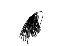 idonknowuhmshrimporsmth