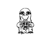 duck