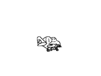 A-10