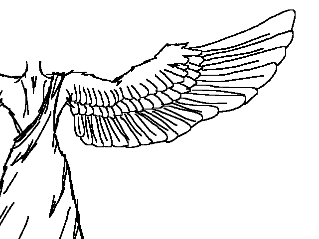wings