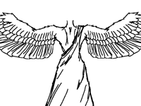 wings