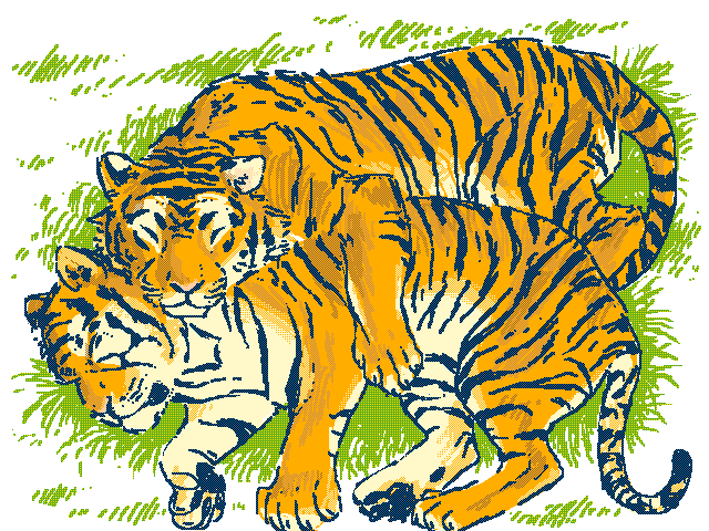 Tigers