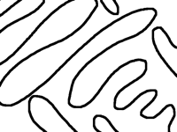 Strings