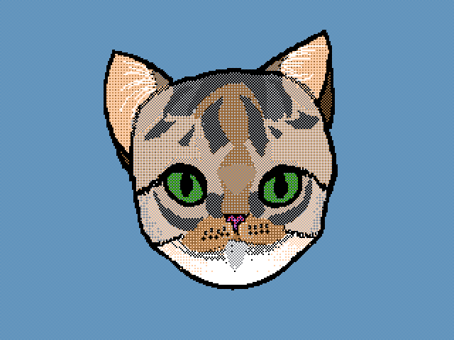 Kitty cat