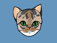 Kitty cat