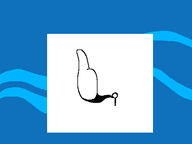 1LIKe=RANDOM FACT ABOUT ME:)