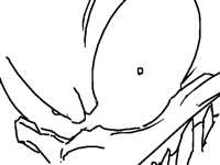 oh yeah btw im good at drawing 2011x