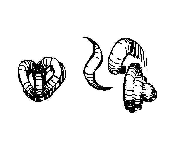 Shapes